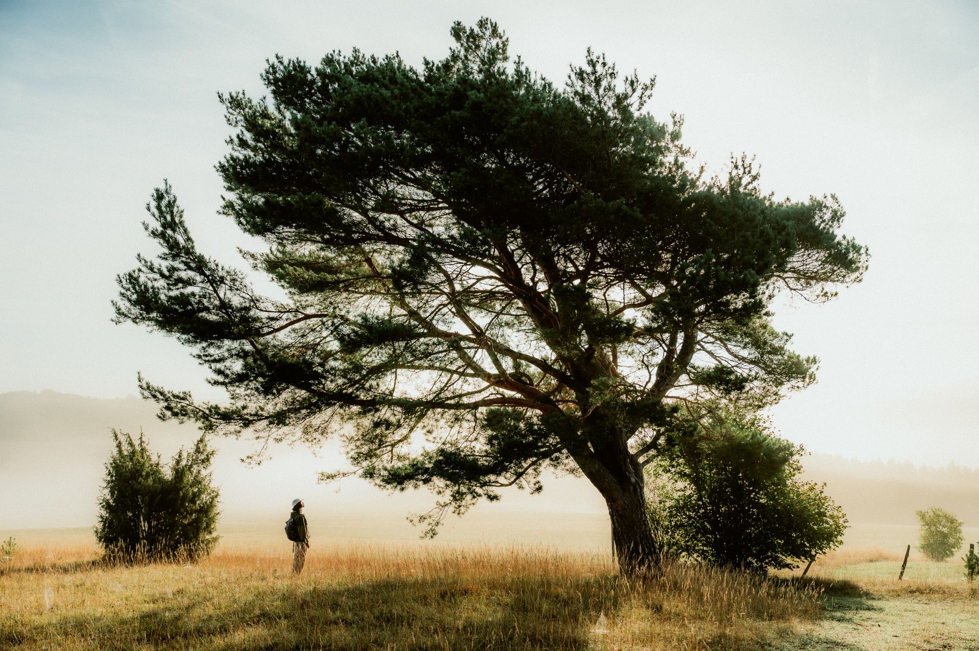 Wanderer auf Etappe