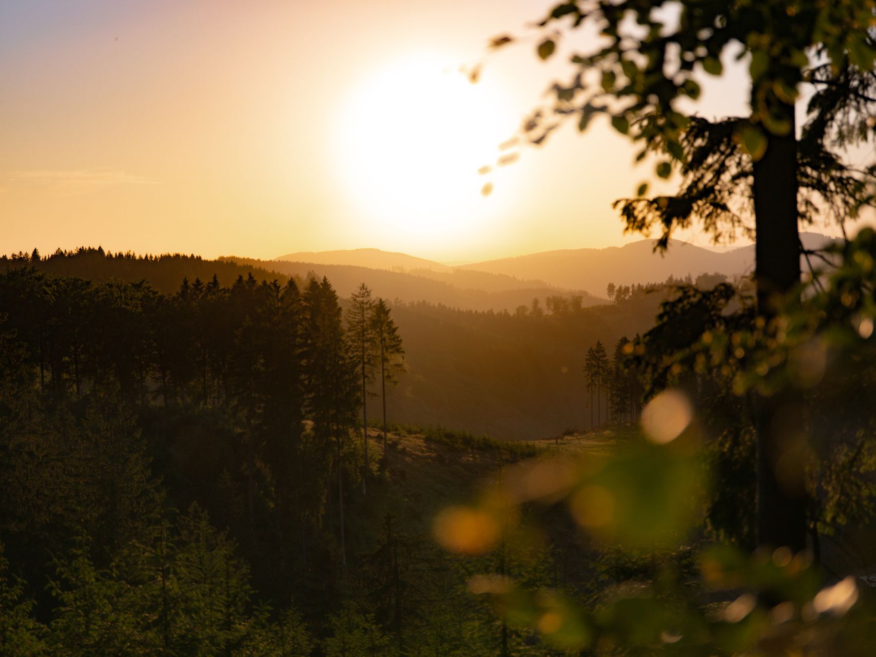 Schemering in het natuurpark Sauerland Rothaargebergte