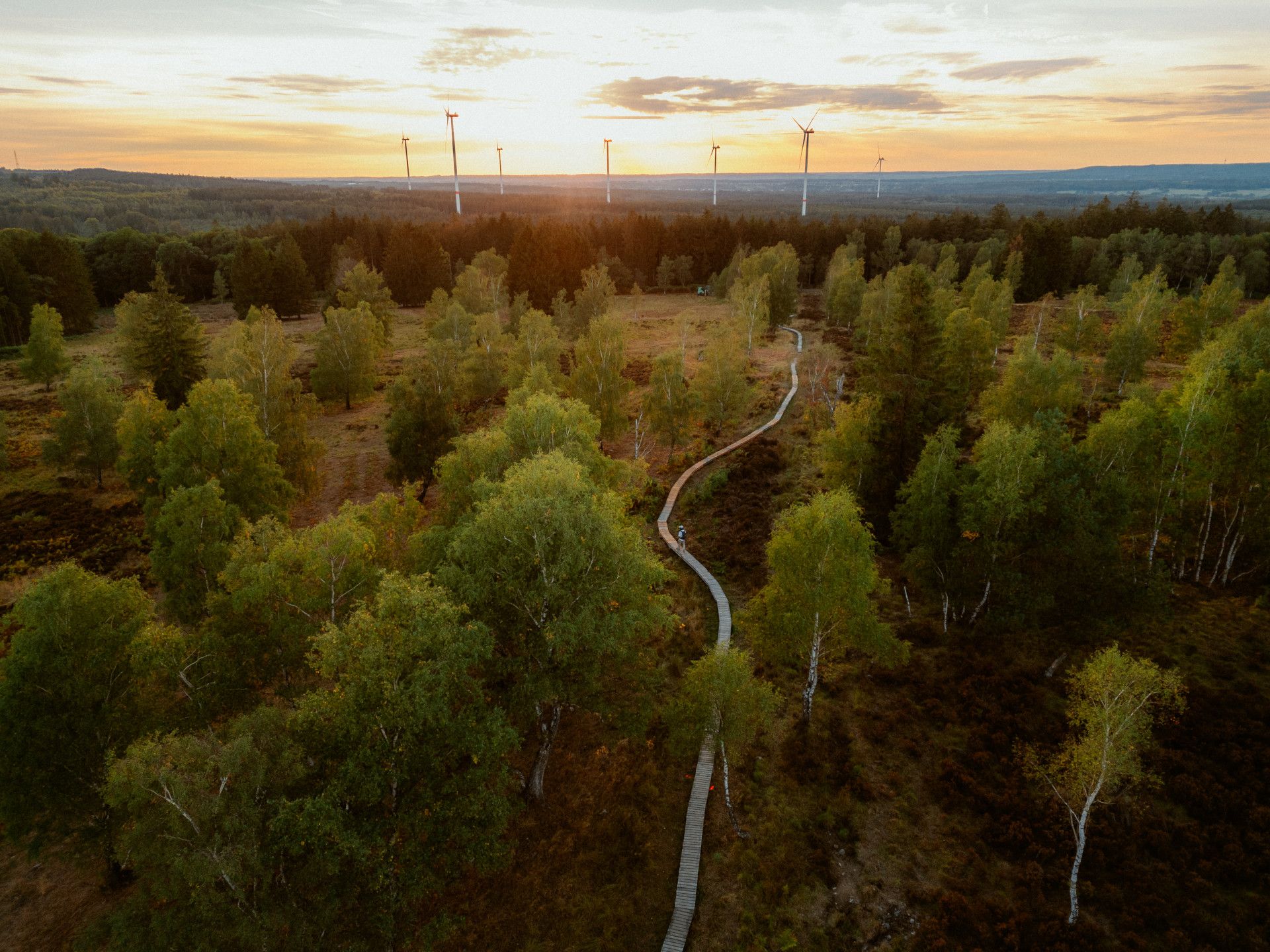 Struffeltroute drone-opname Roetgen