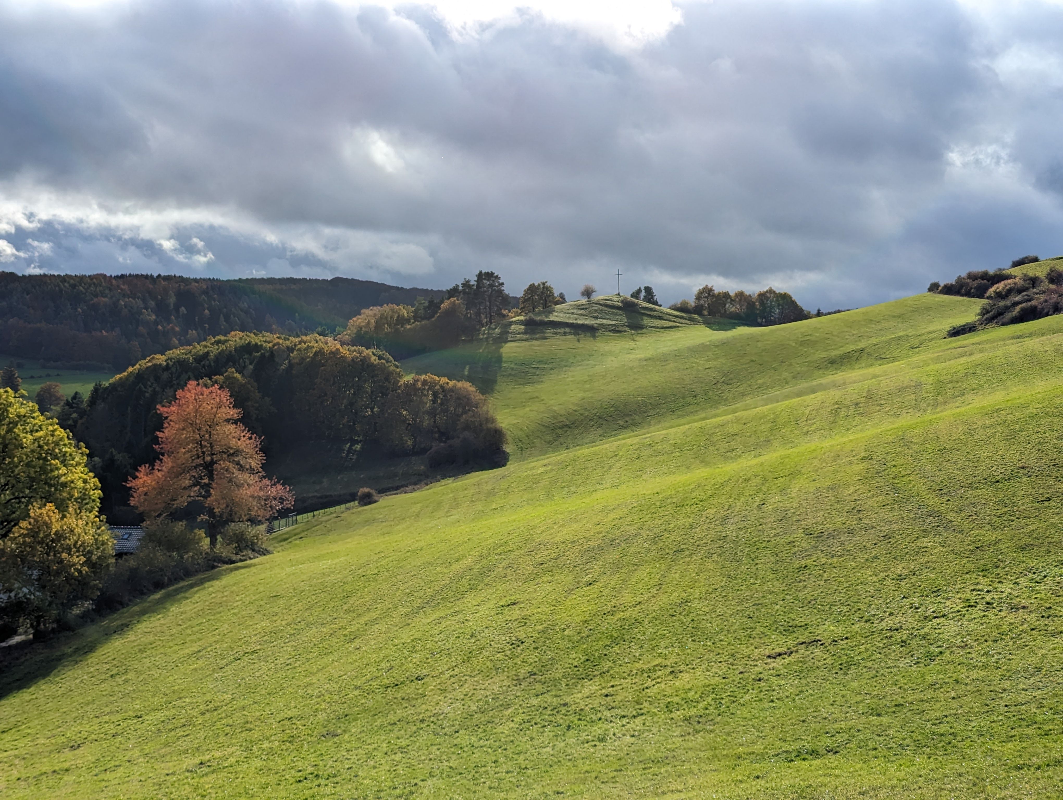 Velden en bomen langs het Romeinse kanaal