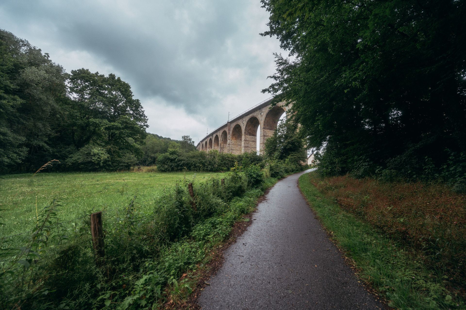 Viaduct met bomen bij Altenbecken