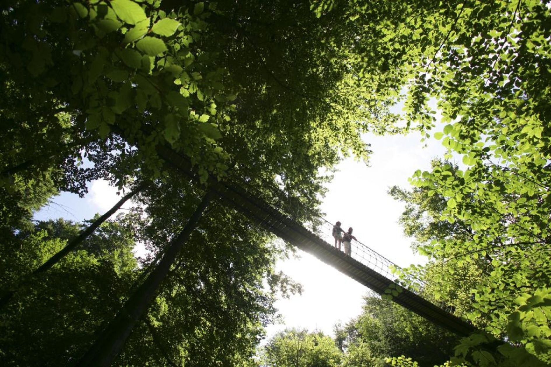 Hangbrug bij Kühhude aan de Rothaarsteig