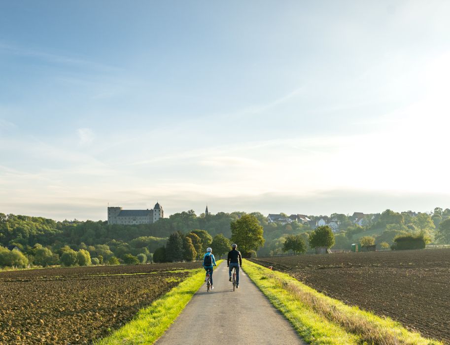 Kasteel Wewelsburg is gemakkelijk per fiets te bereiken. Fietspaden leiden rechtstreeks naar de attractie in het Teutoburger Woud.