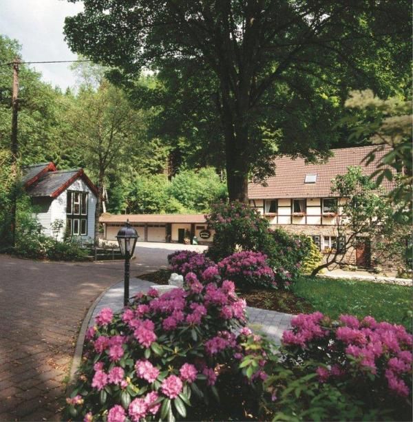 Historische mosterdmolen in Monschau