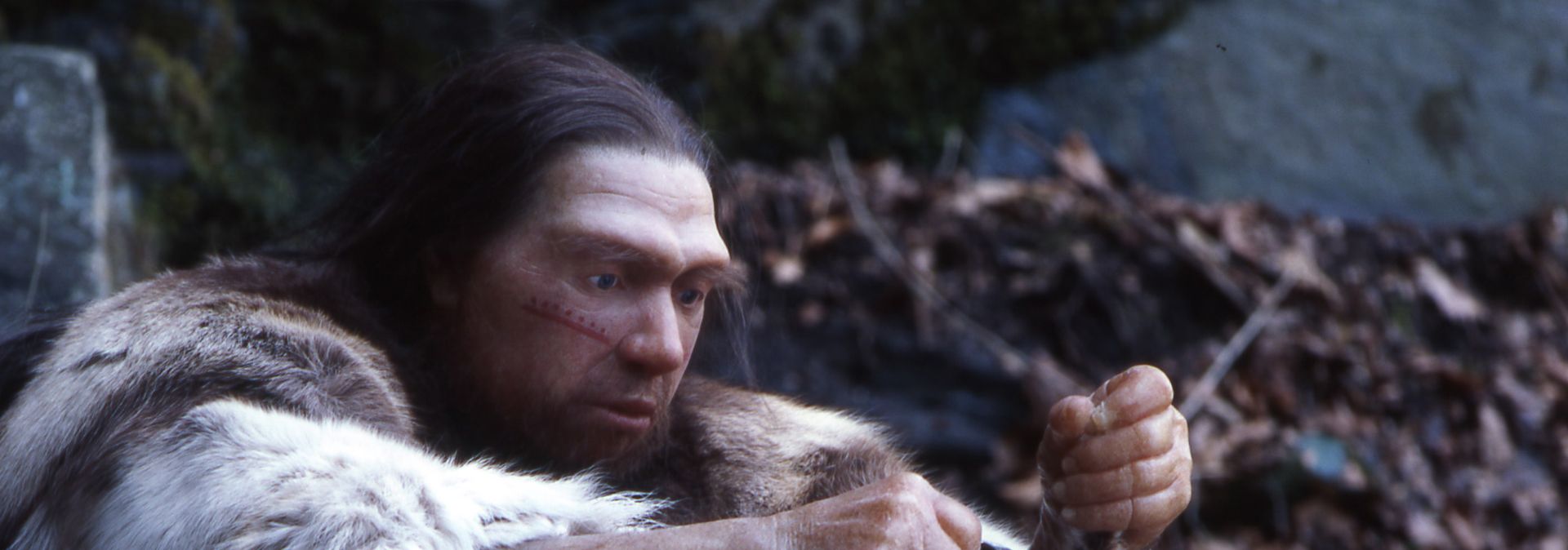 De Neanderthaler is de ster van het Neanderthal Museum