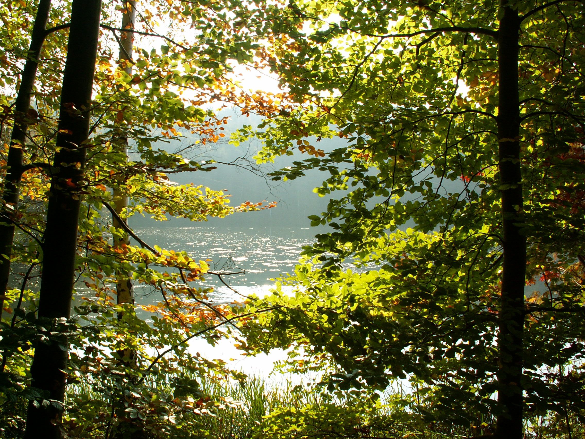 Meren in het Rijnland Natuurpark