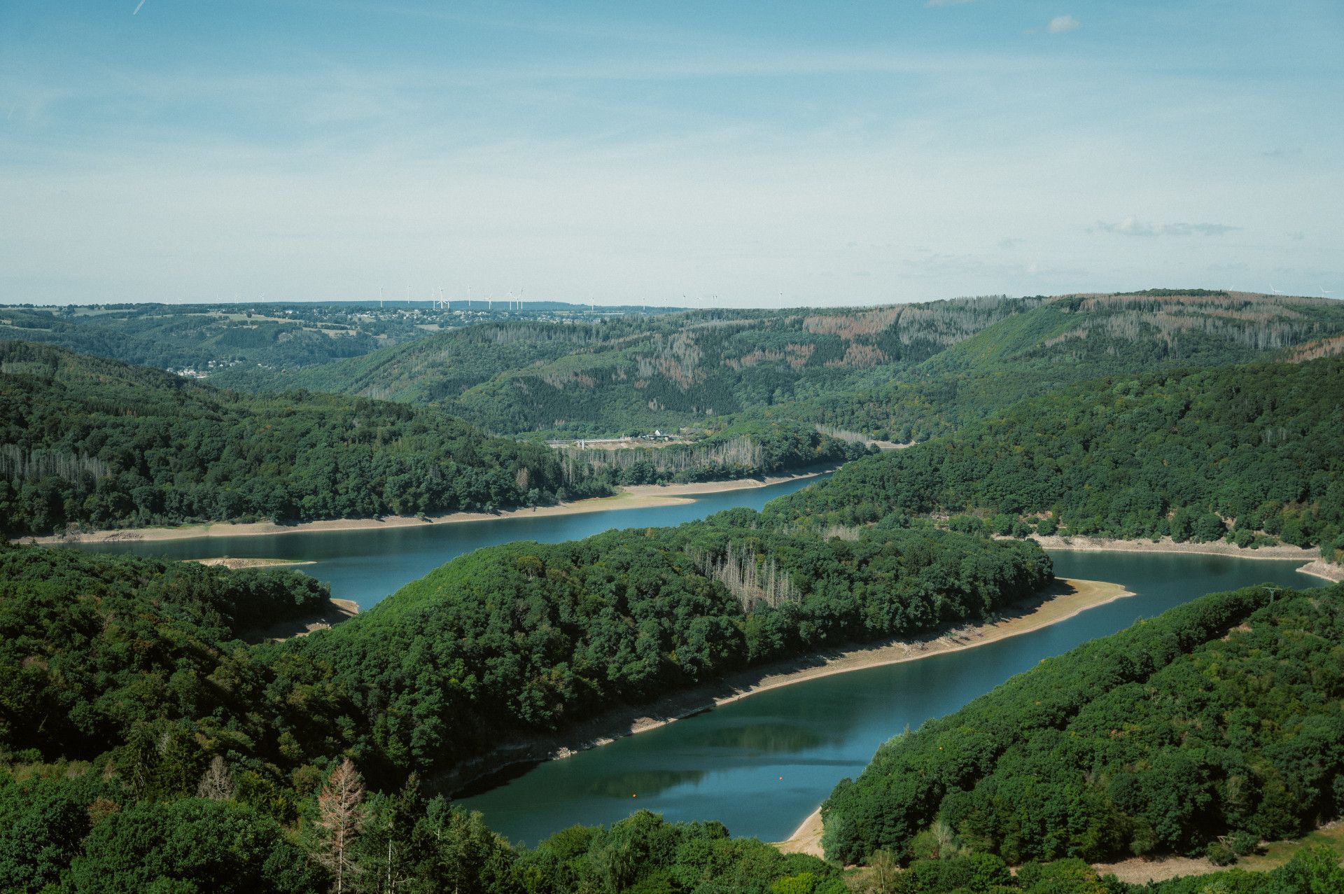 Wälder an der Urftalsperre