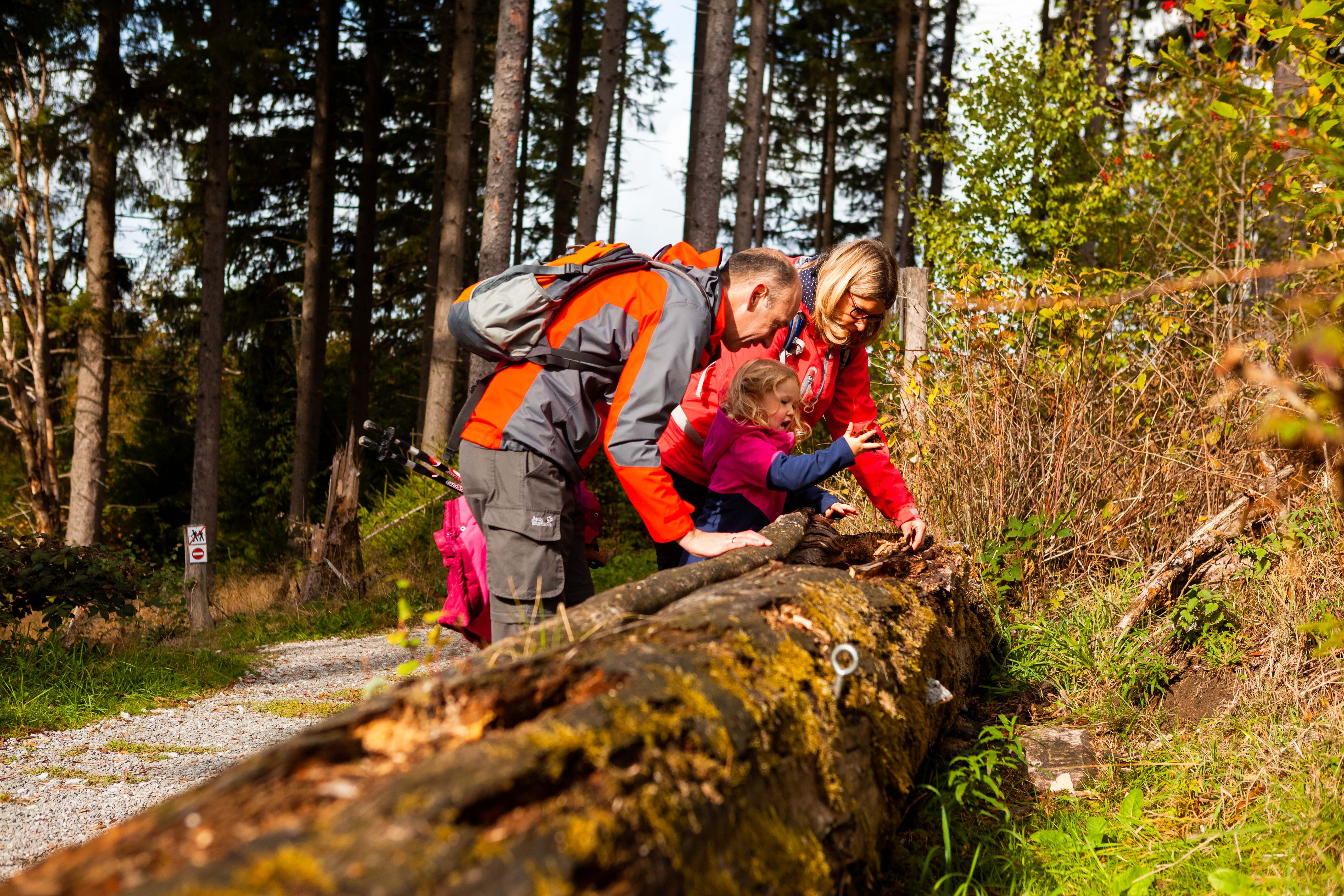 Tourismus NRW e.V., Waldfeenpfad in Brilon im Sauerland