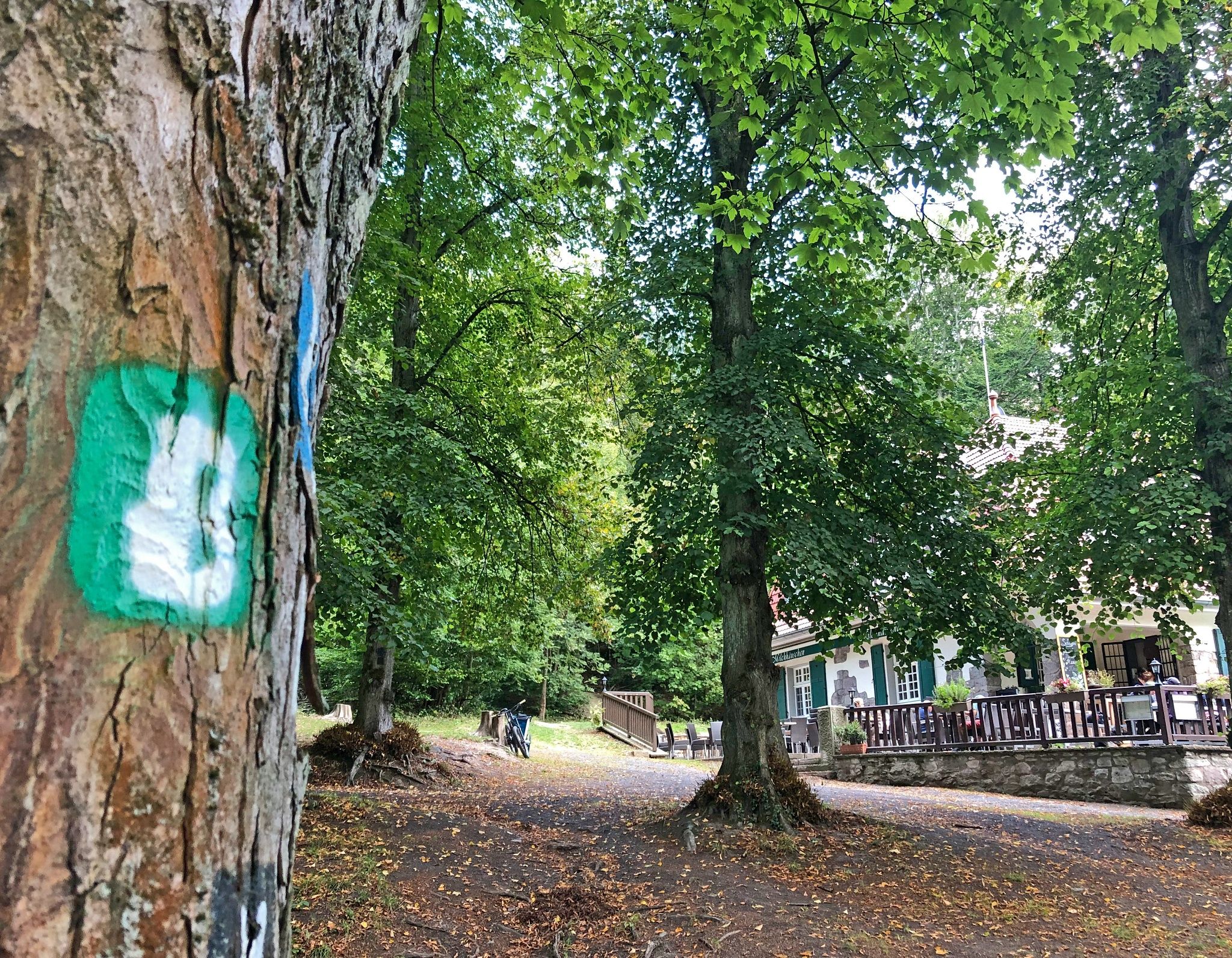 Wandelpadmarkering op boom