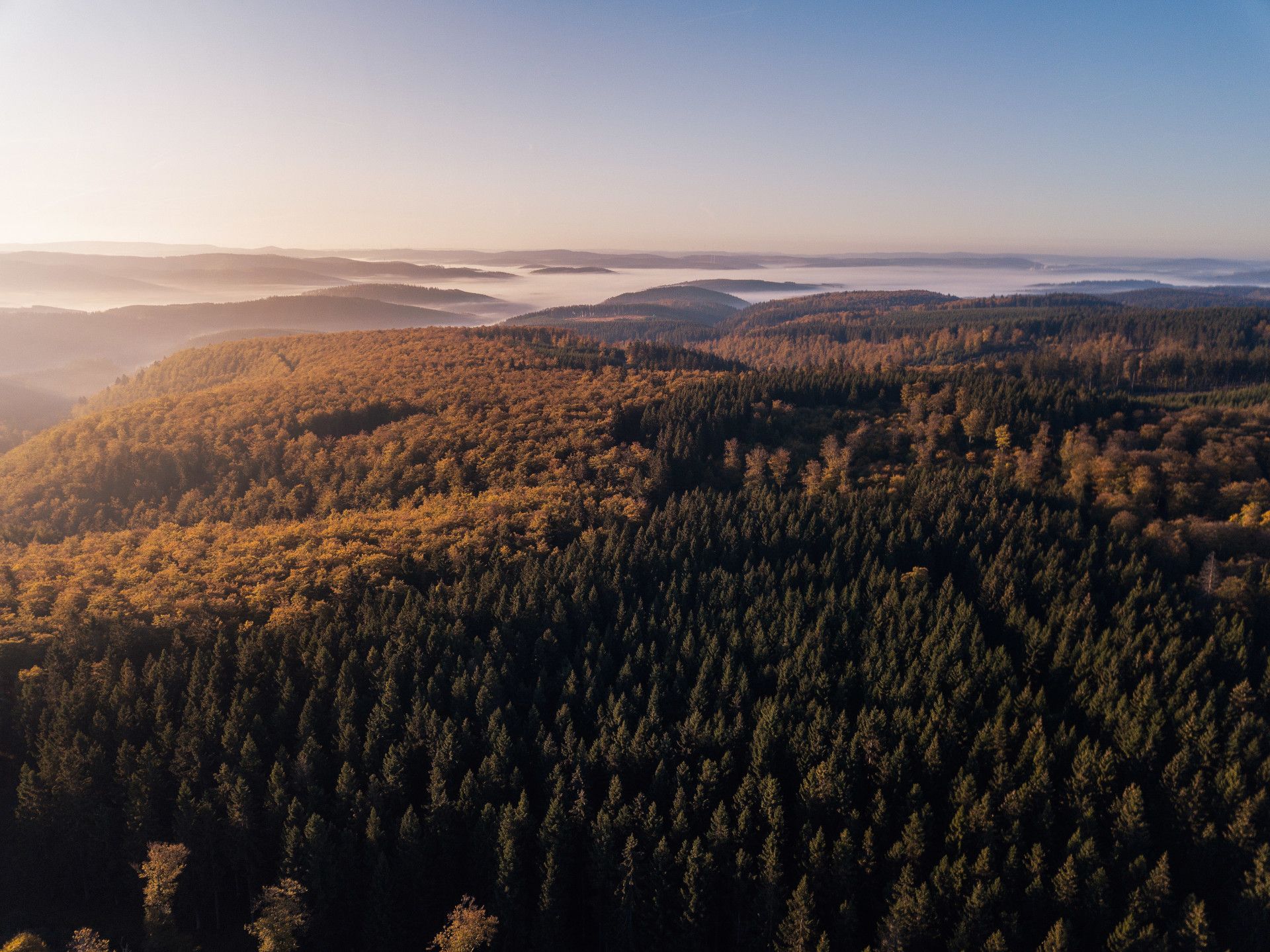 Uitzicht op de bossen rond de Rothaarsteig in Siegen-Wittgenstein.