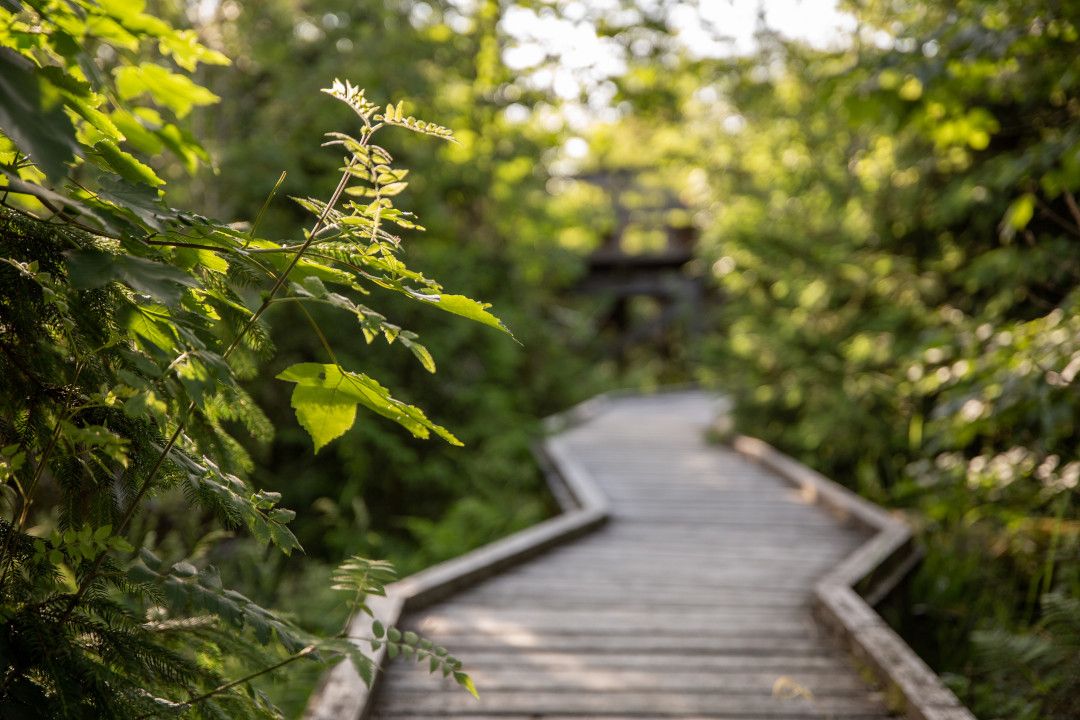 Houten voetgangersbrug Rothaarsteig