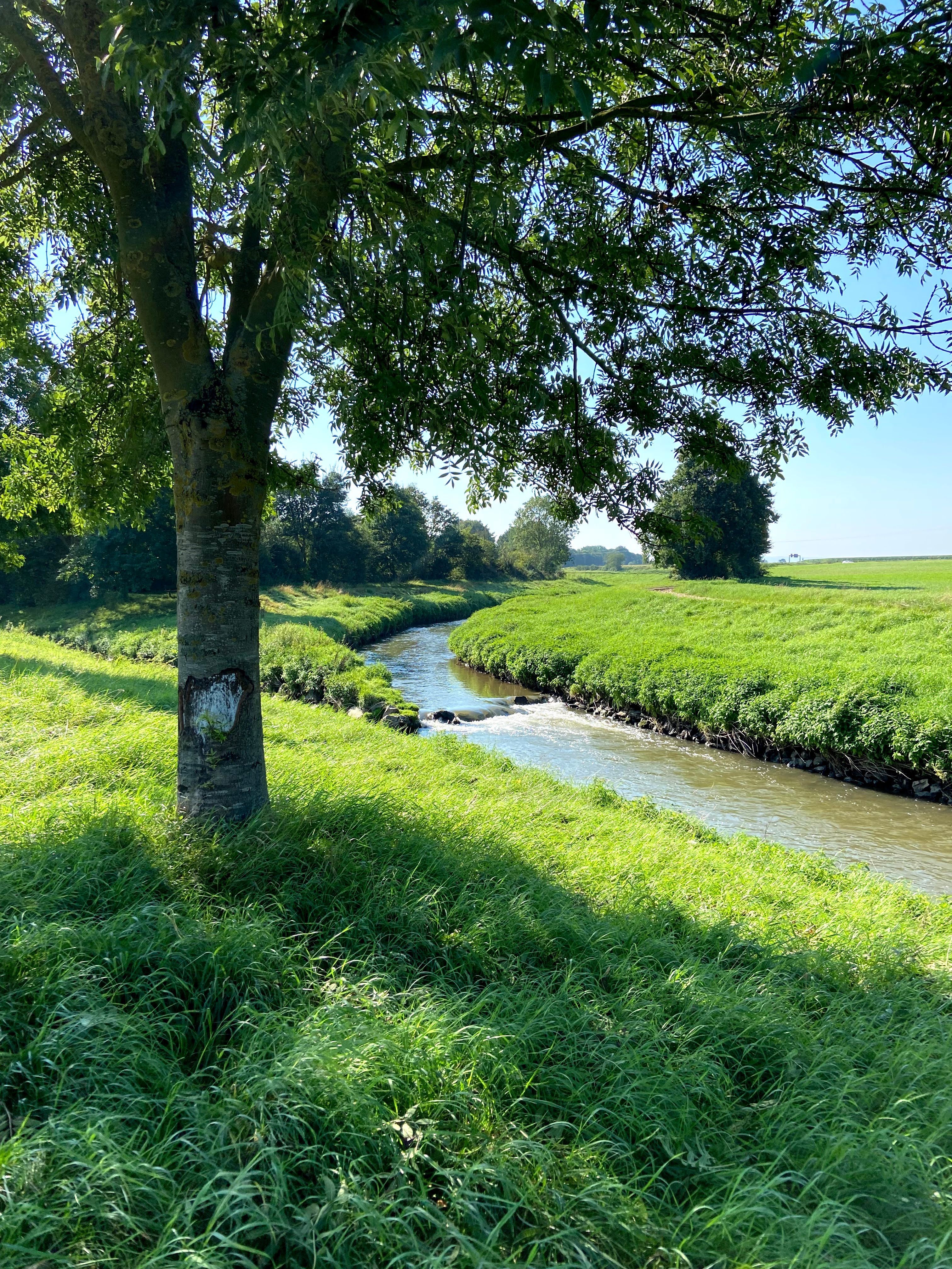 De monding van de Swist in de Erft bij Bliesheim