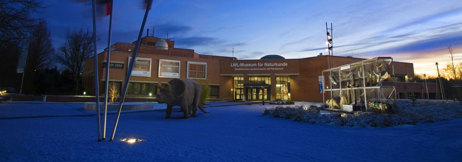 Twee permanente tentoonstellingen en regelmatige speciale shows in het LWL Natuurhistorisch Museum geven inzicht in de wereld van dieren en planten.