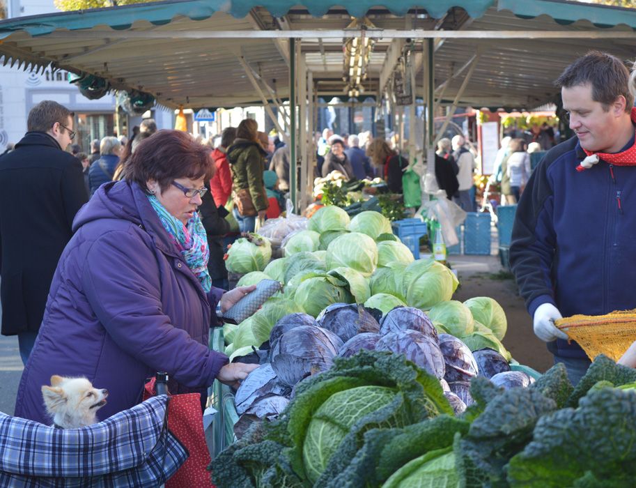 Op de historische Kappesmarkt praten mensen over de teelt, verwerking en bereiding van kool