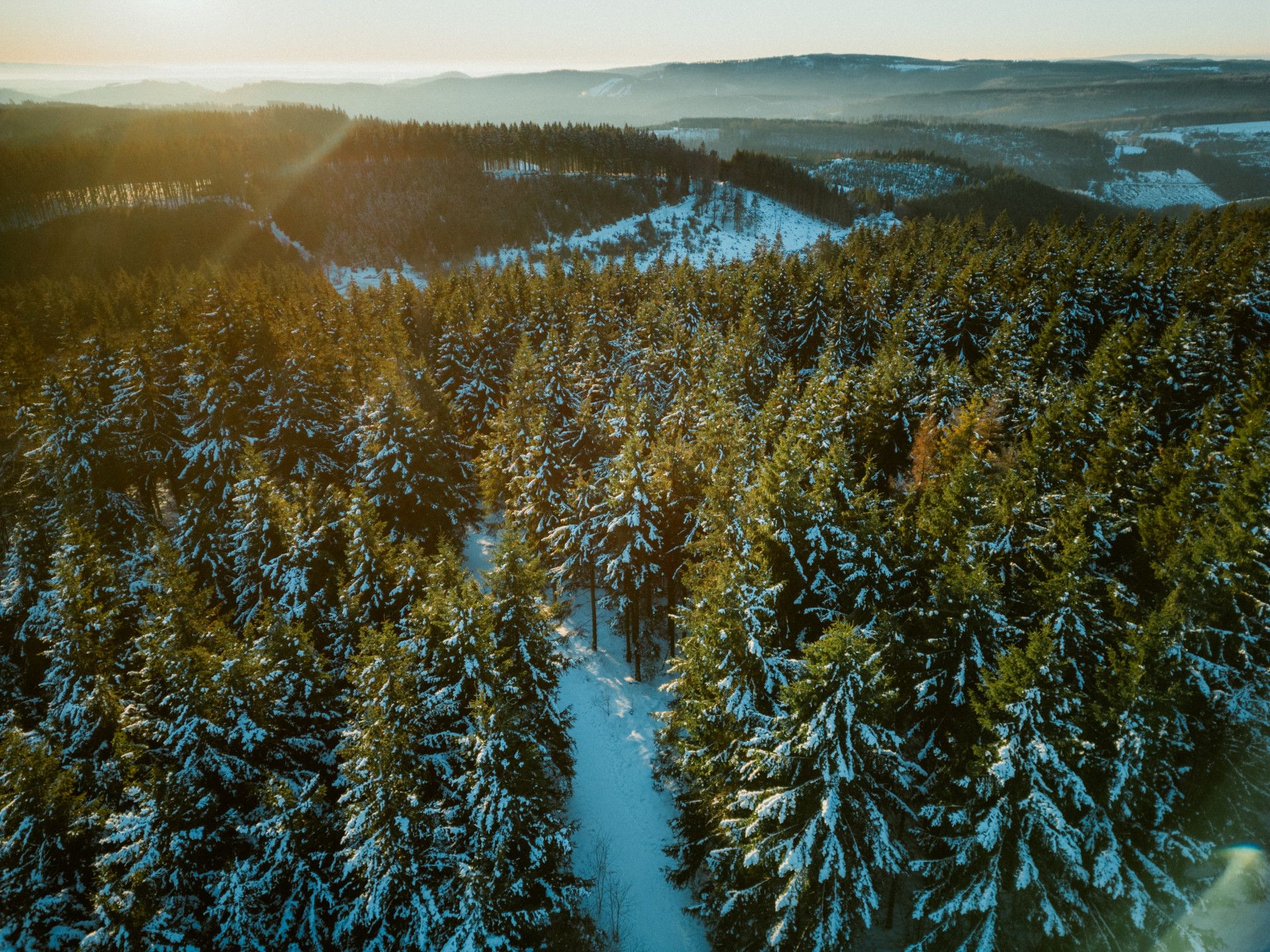 Johannes Höhn, Tourismus NRW e.V., Schneebedeckte Baumkronen eines Fichtenwaldes in Winterberg im Sauerland