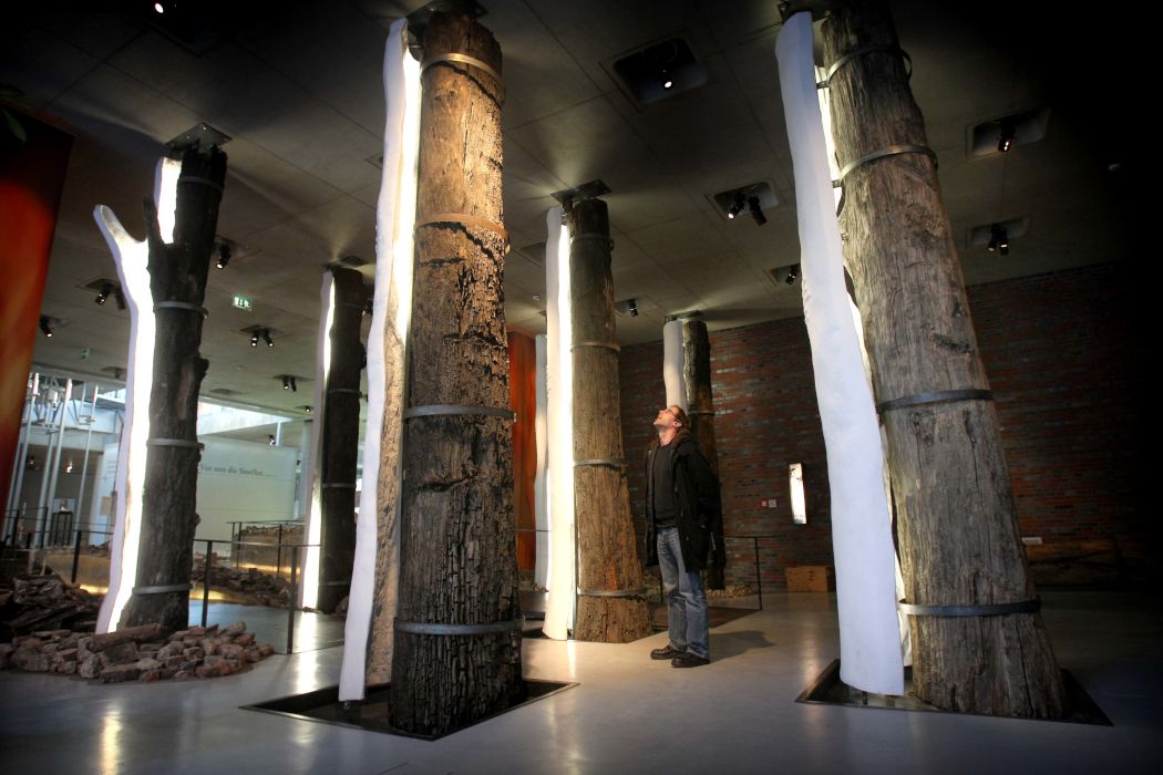 Een van de speciale tentoonstellingen in het LWL Museum voor Archeologie en Cultuur is een versteend citatenbos bij de ingang.