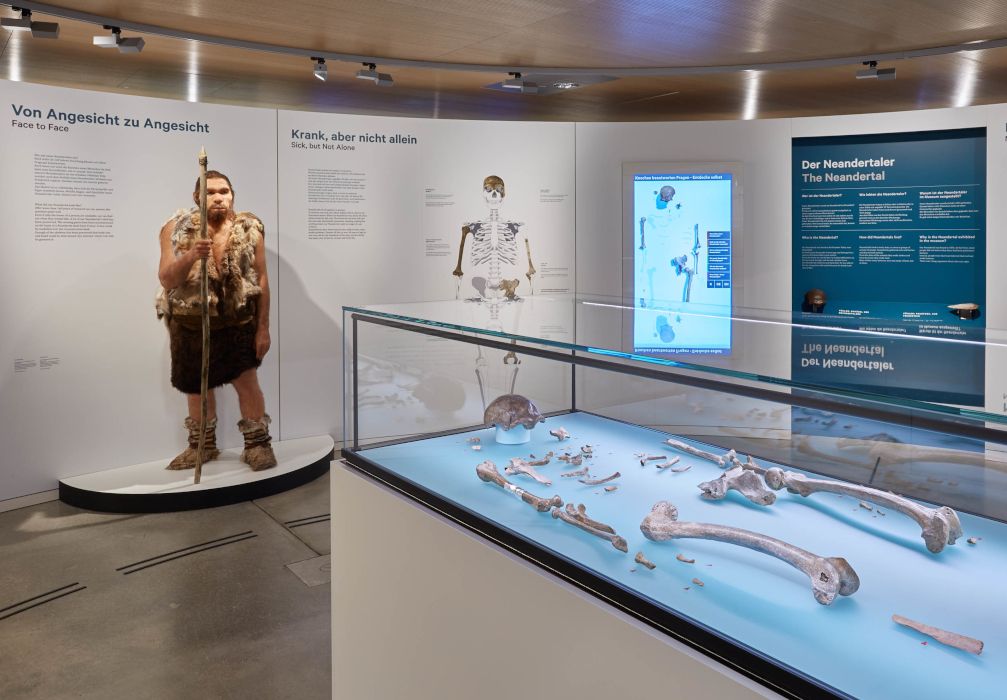 Gasten kunnen de wereldberoemde Neanderthaler van dichtbij bekijken in een rotonde in de foyer van het museum.