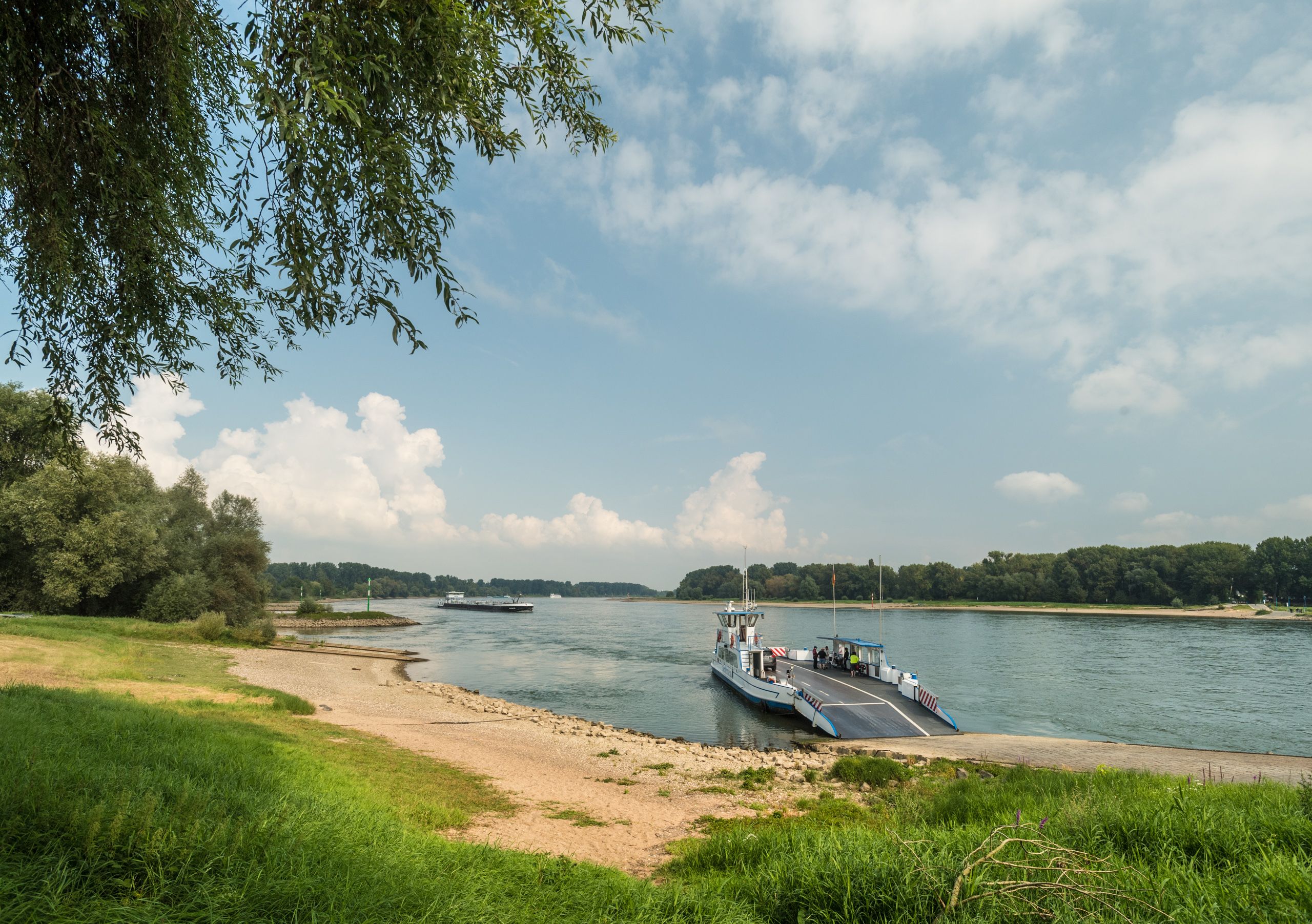 Rijnoever in de zomer