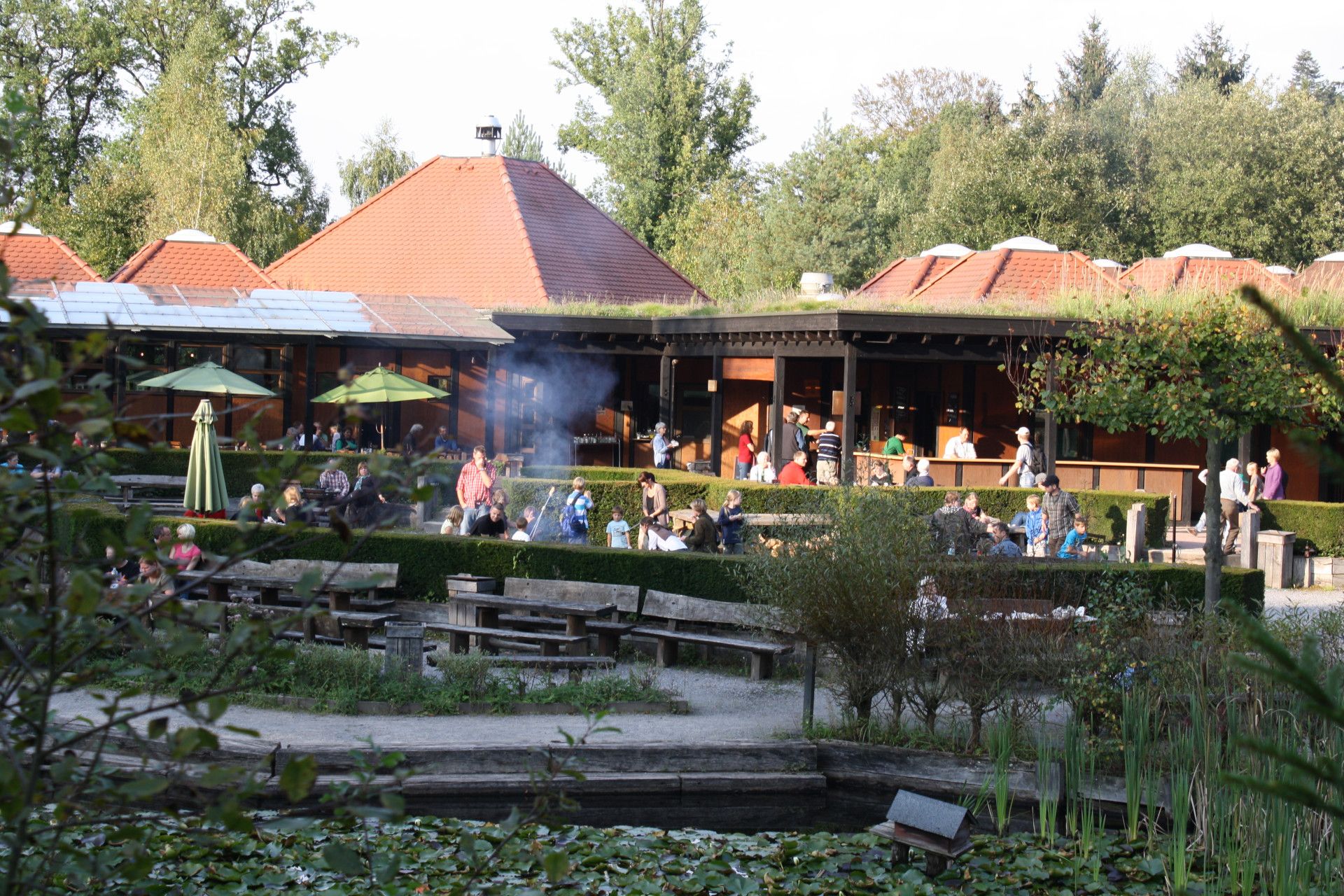 Terras in het wilde bos van de Vosswinkel