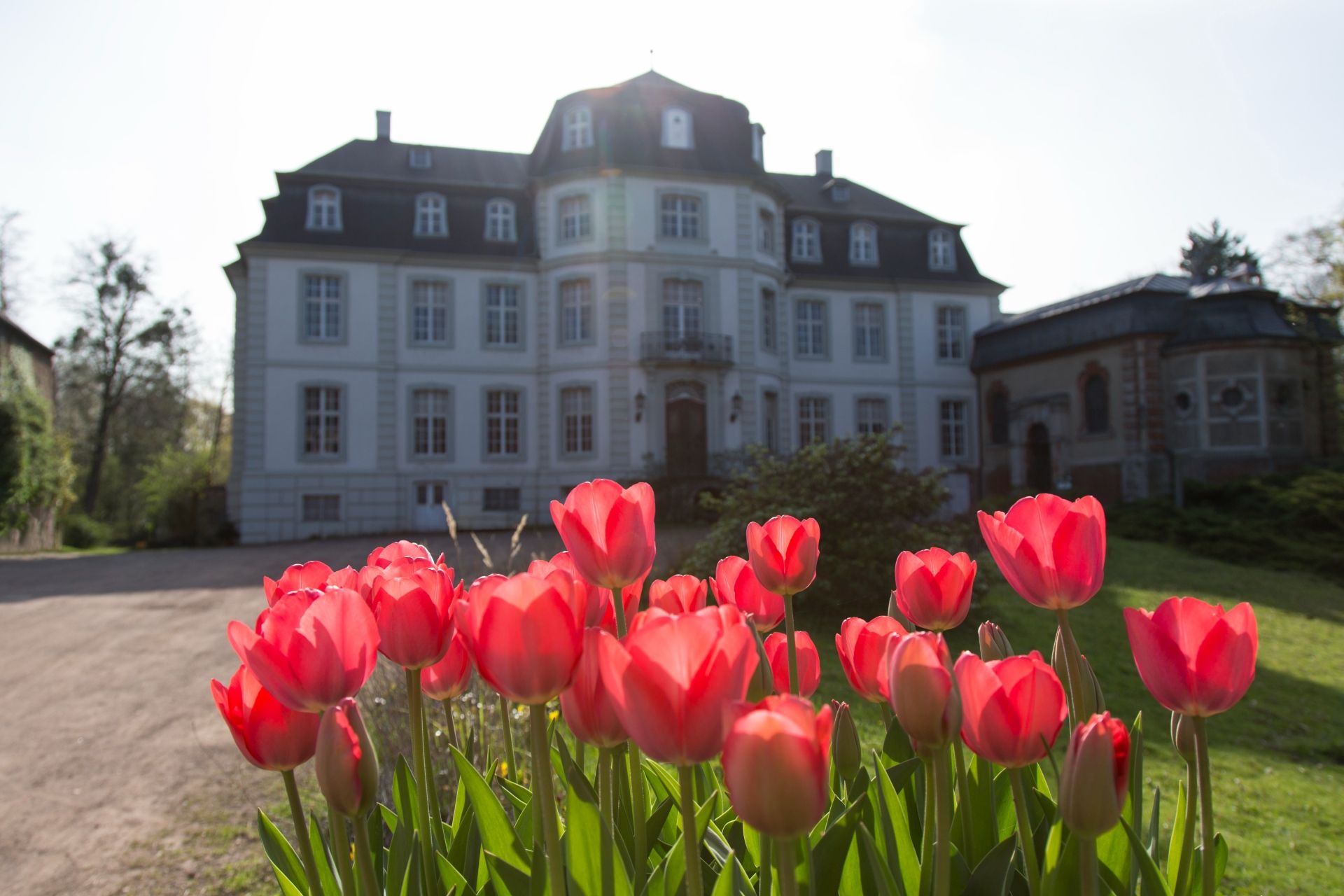 Kasteel Türnich in Kerpen is een lustpaleis uit de 18e eeuw