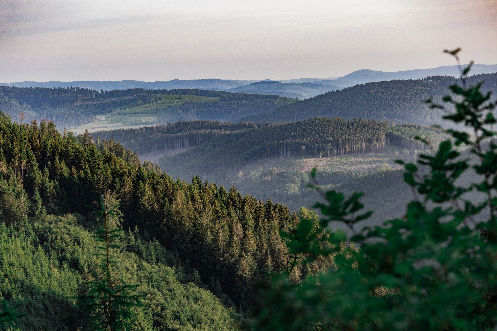 Uitzicht op het natuurpark Sauerland Rothaargebergte