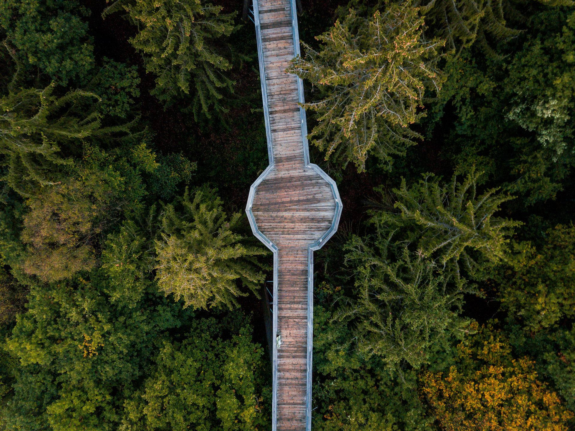 Panarbora boomkroonwandeling vanuit vogelperspectief, Waldbröl, Bergisches Land