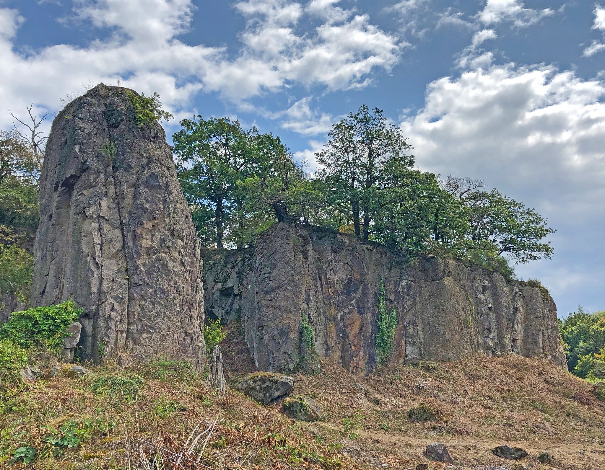 Stenzelberg met bomen