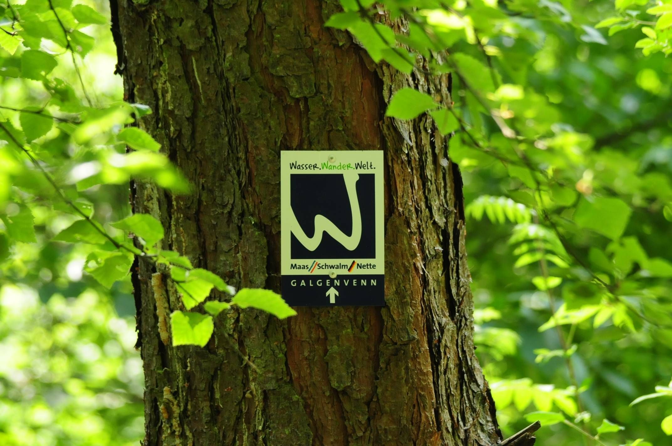 Schwalm-Nette bord natuurpark