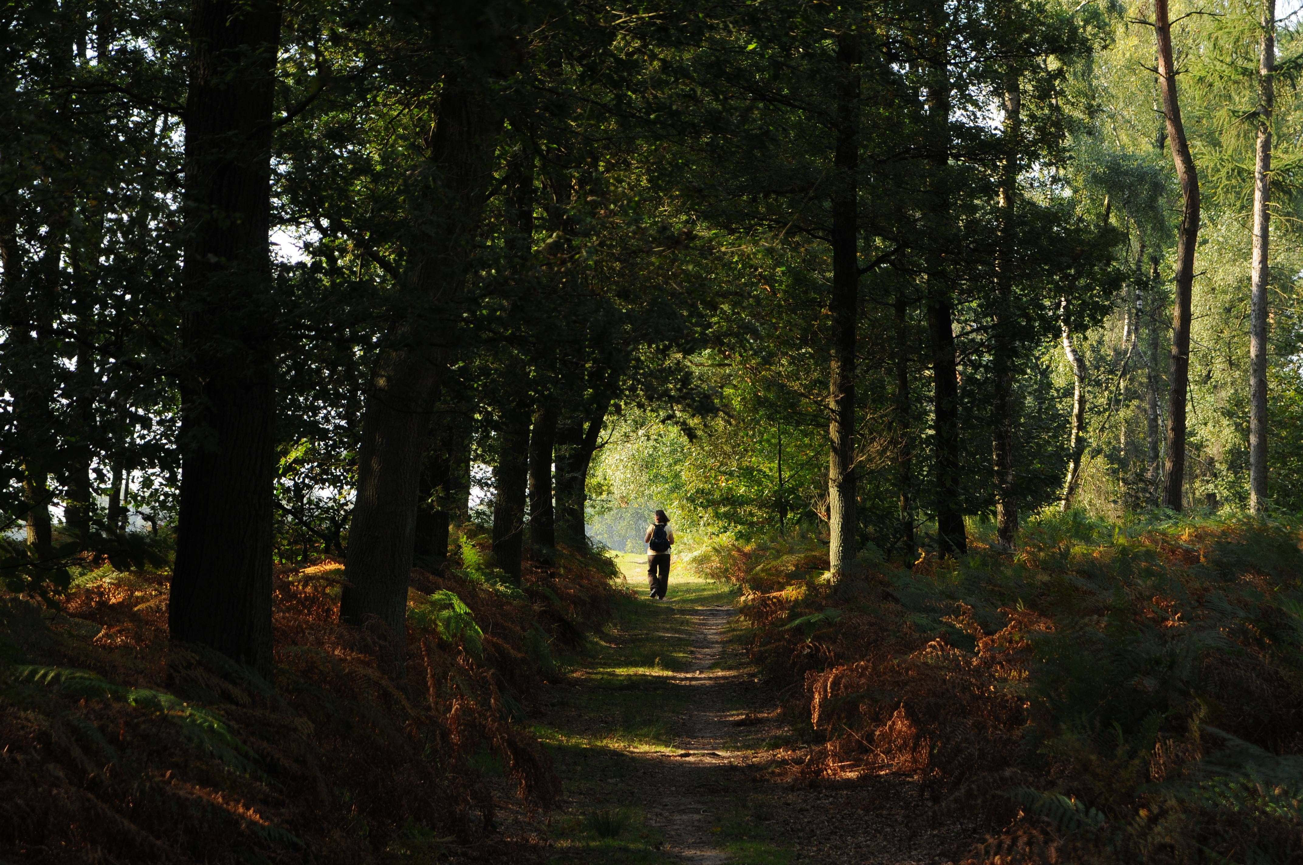 Wandelen in natuurpark Schwalm-Nette