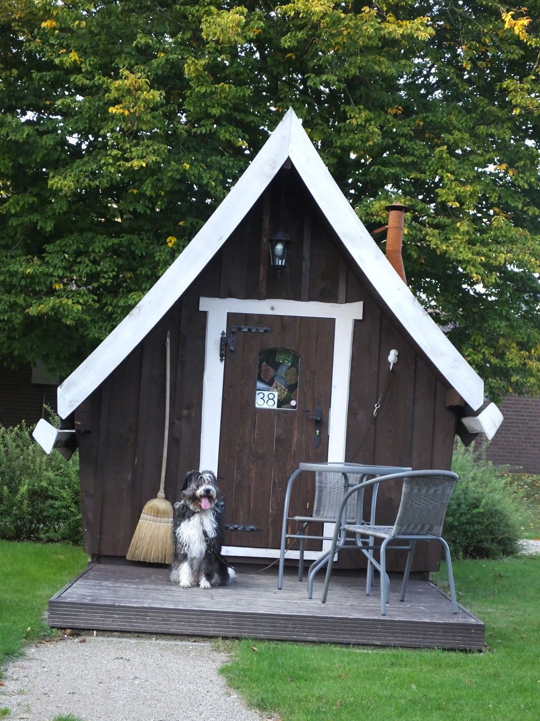 Campingpark Kerstgenshof Außenansicht mit Hund