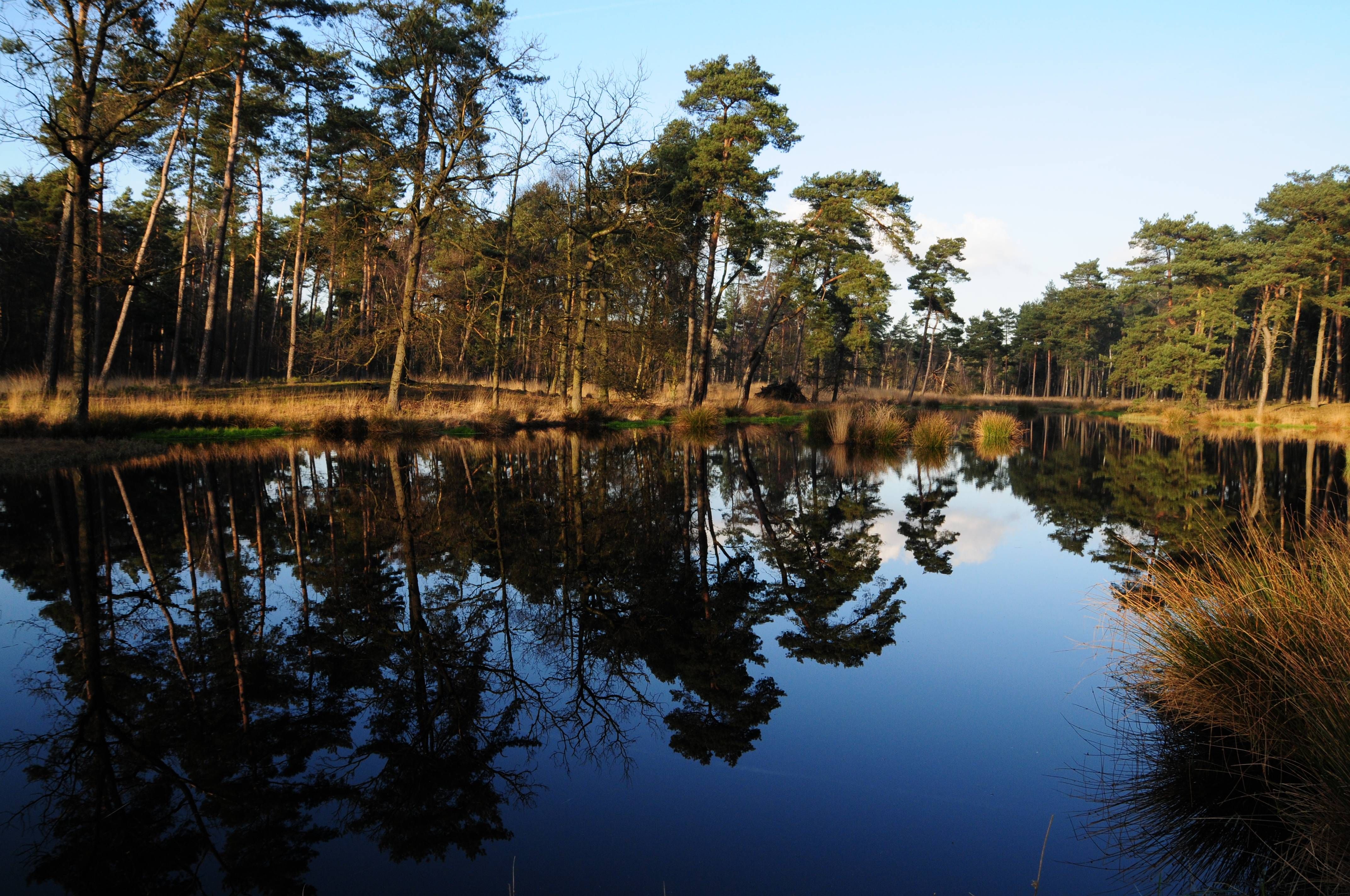 Natuurpark Schwalm-Nette