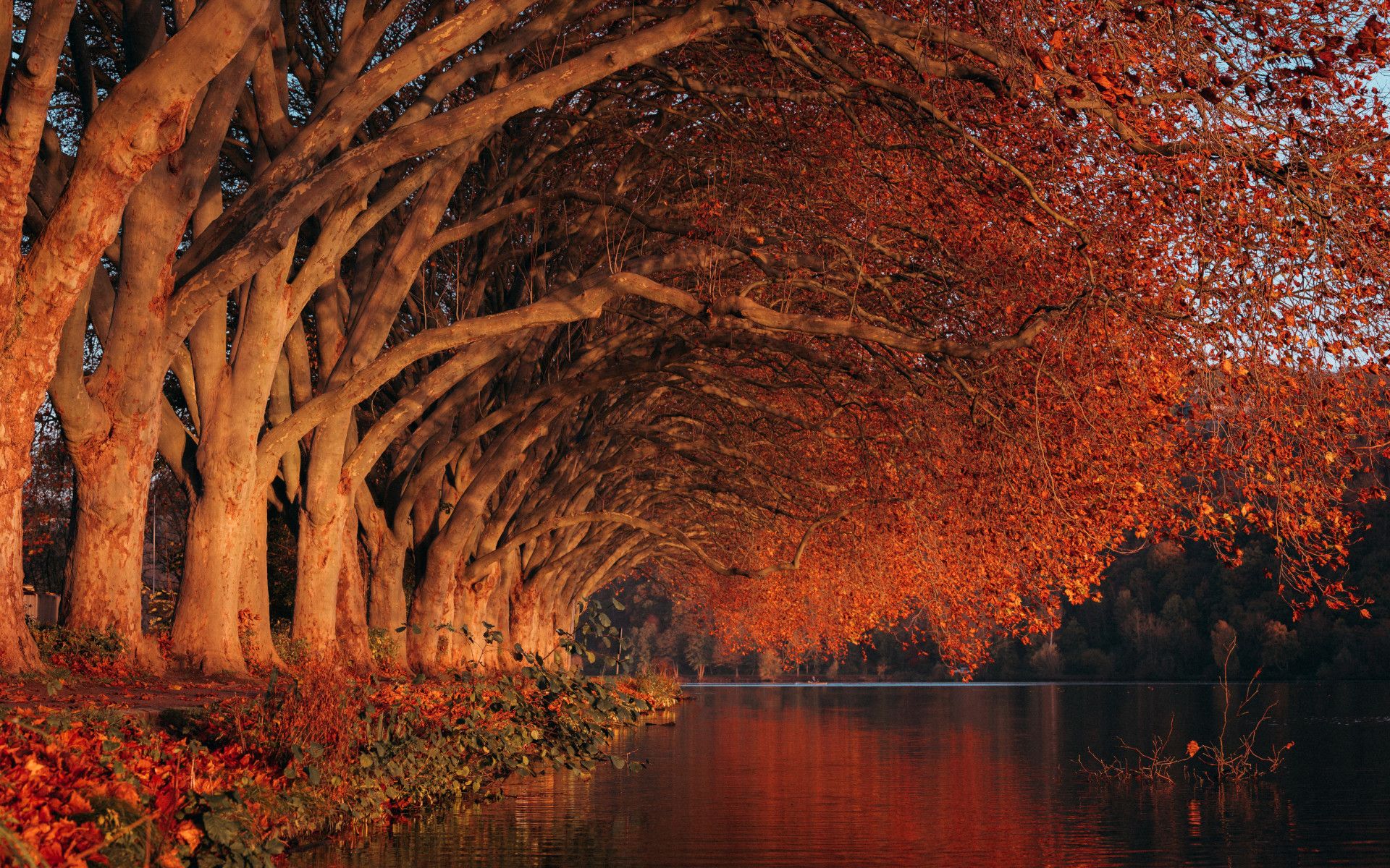 Herfstsfeer bij het Baldeney-meer in Essen