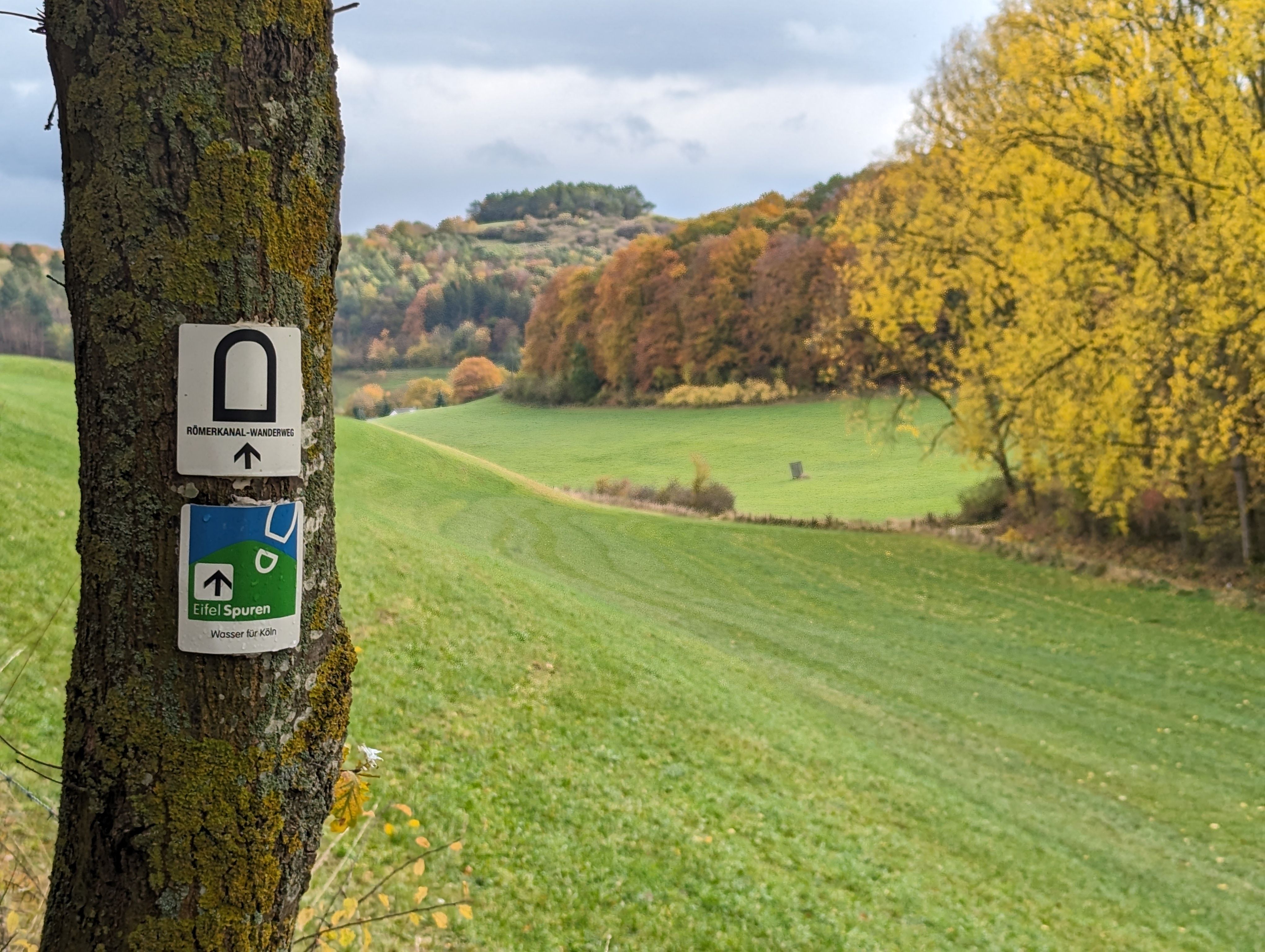 Wegwijzer op boom voor Romeins kanaalwandelpad