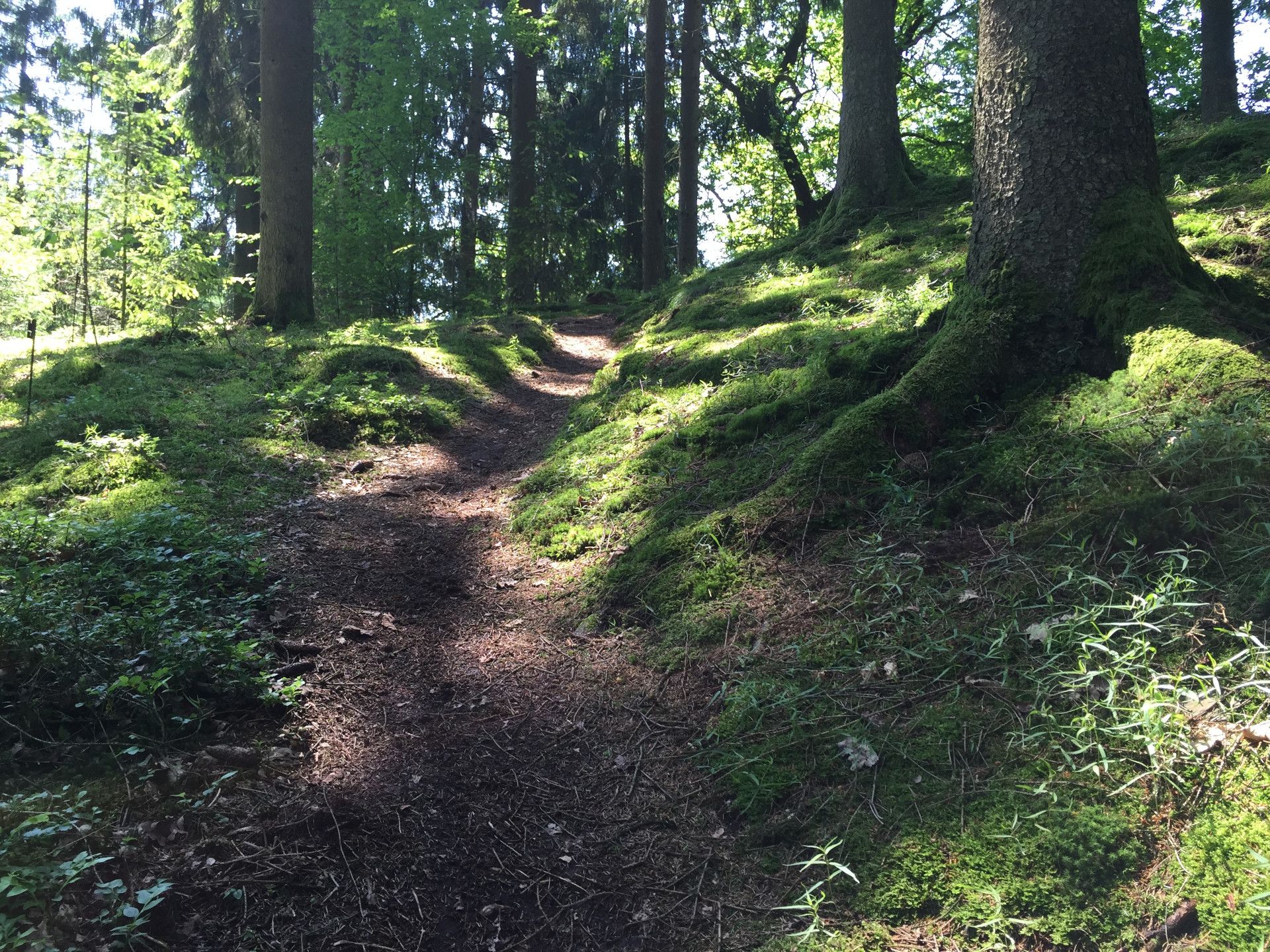 Etappe 14 van de Natursteig Sieg