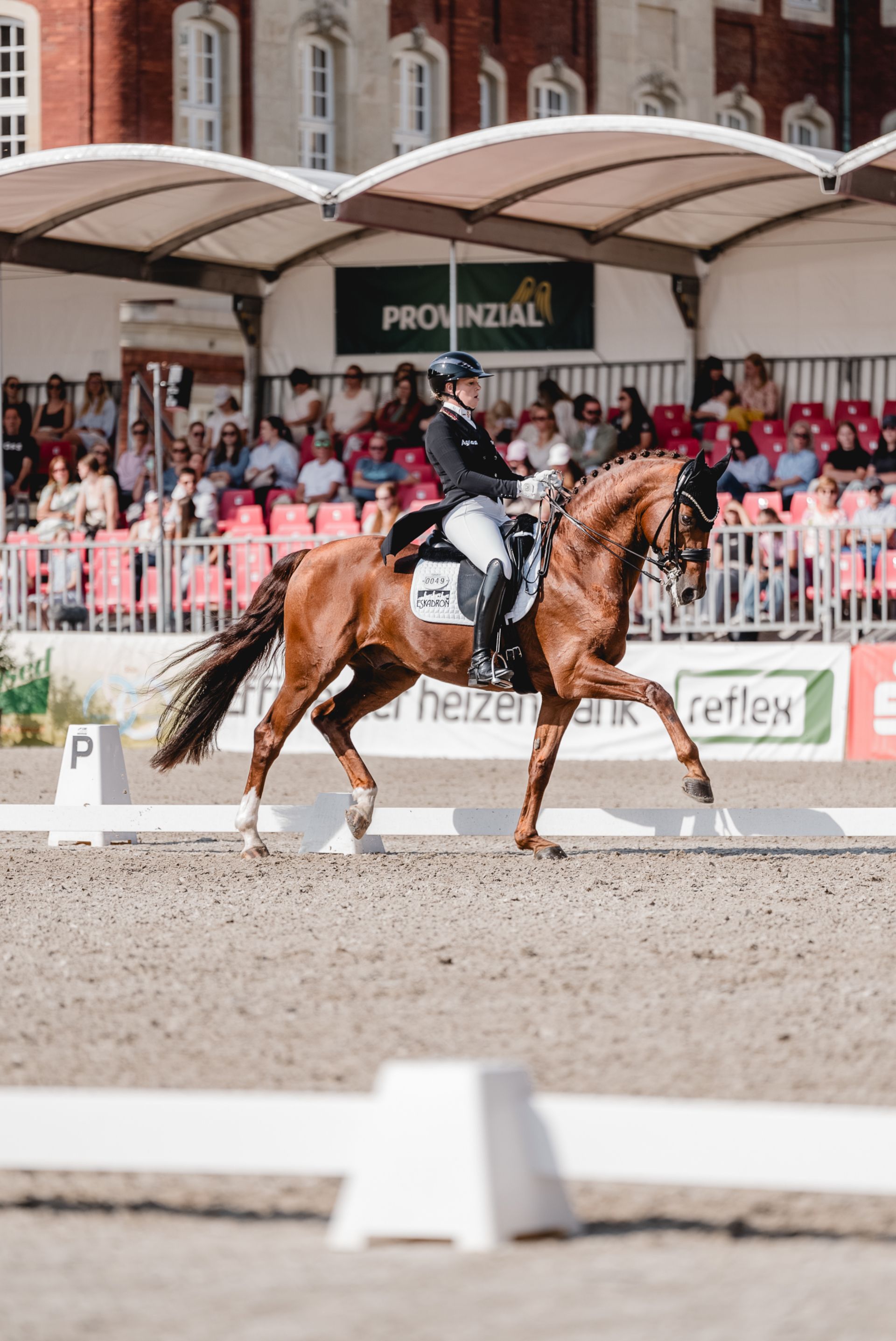 Duitse dressuurruiter Katha Hemmer verzekert zich van de Grand Prix de Dressage in 2024