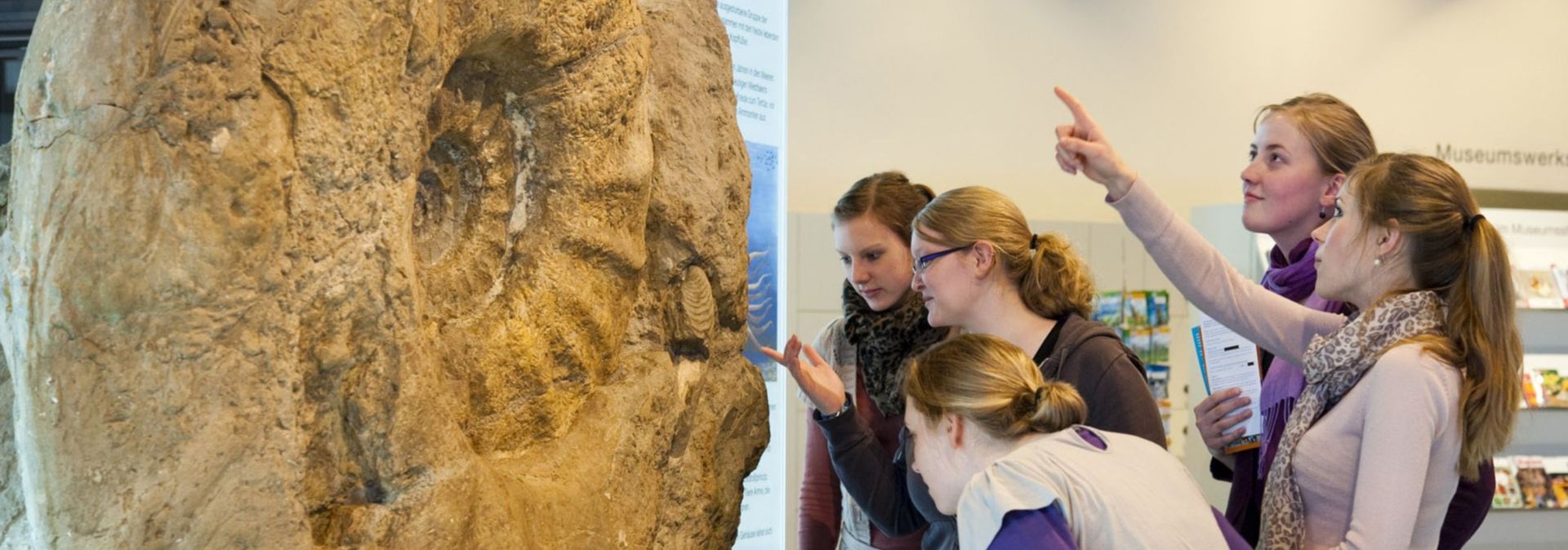 De reusachtige ammoniet is de eerste blikvanger als gasten het LWL Museum of Natural History binnenkomen.