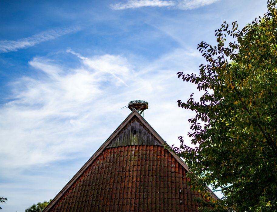 Een ooievaarsnest siert het Westfaalse Ooievaarsmuseum in het vakwerkhuis in Windheim nr. 2.