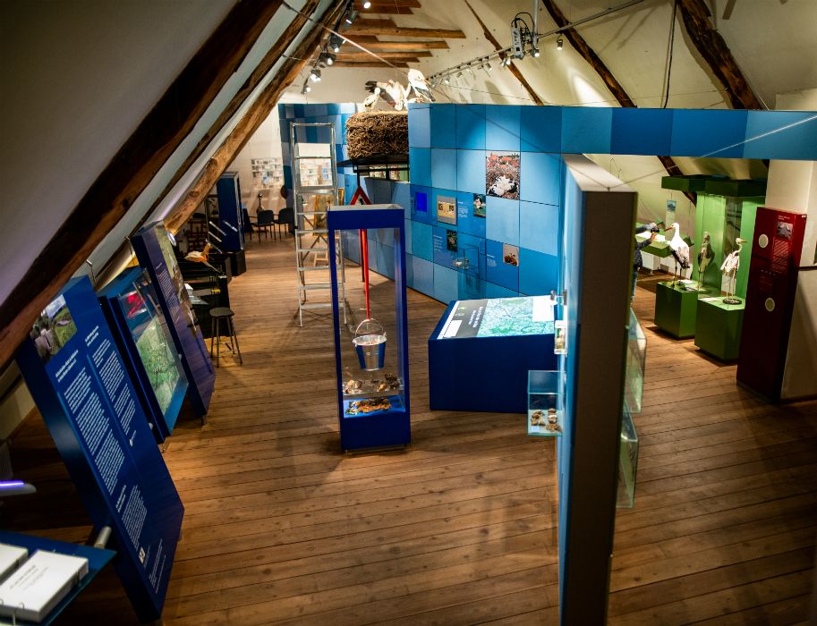 De tentoonstelling over de ooievaar bevindt zich ook op de bovenste verdieping van het vakwerkjuweel Windheim nr. 2.