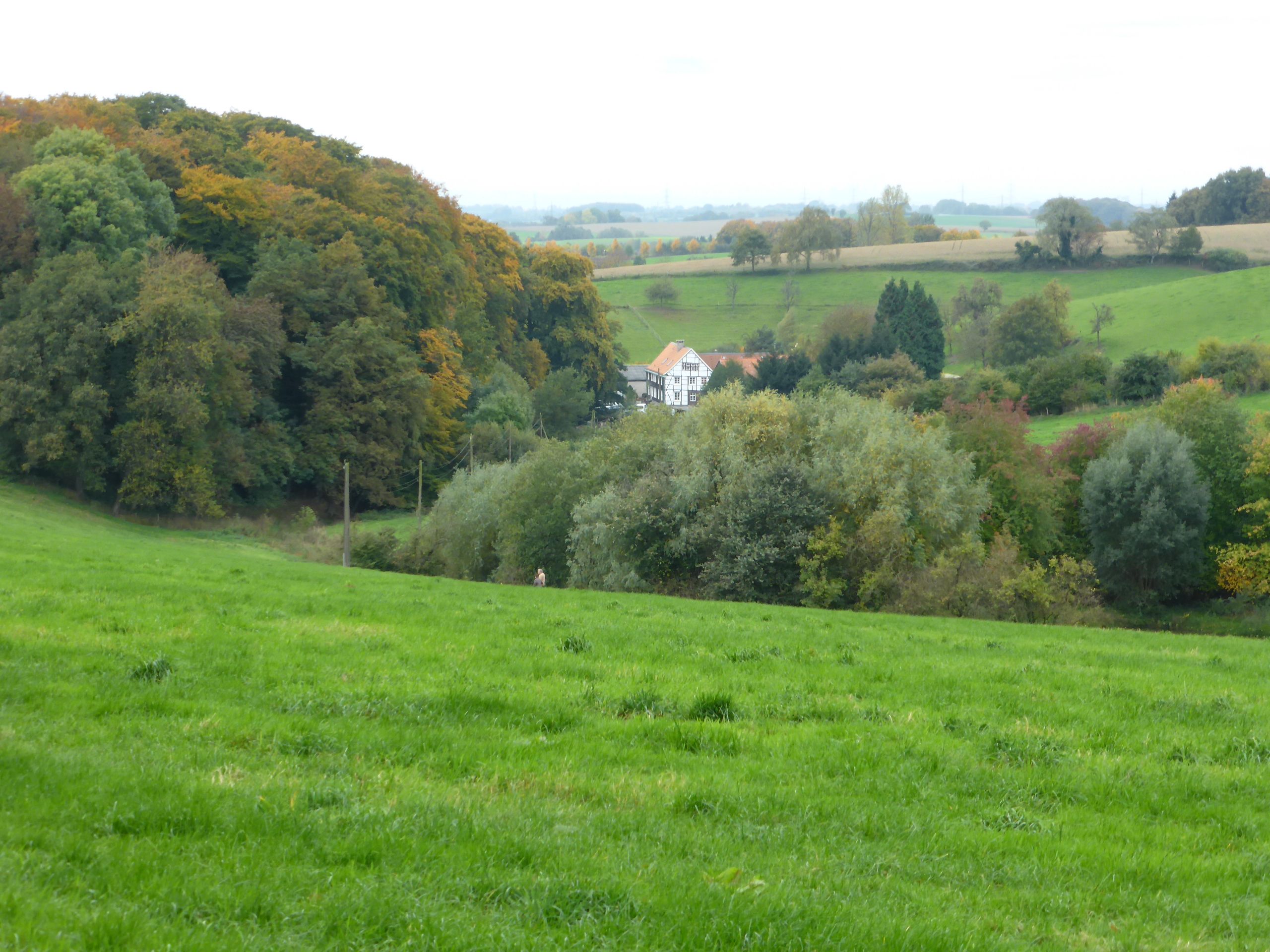 Wülfrath-Düssel naar Velbert-Neviges