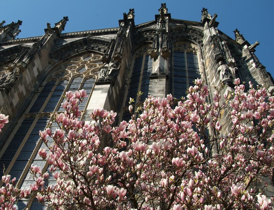 De lente is een prachtige tijd om een stedentrip te beginnen. De Dom van Aken is in elk jaargetijde een bezoek waard